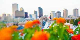 The Woodward Gallery 33