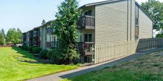 Terra Apartments Gallery 72