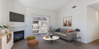 Sycamore Village Gallery 29