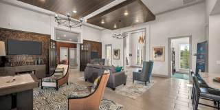 Boulevard at Lakeside Gallery 41