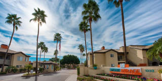 Desert Mirage Gallery 3