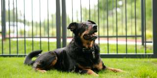 Ariza Scott BLVD Gallery 32