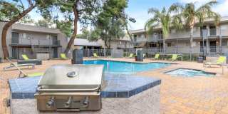 Treehouse Apartments Gallery 25