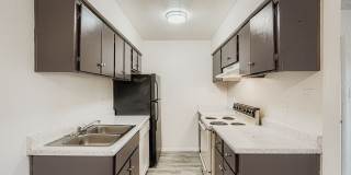 Rise Lakeside Gallery 60