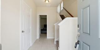 4827 FOREST PINES Drive Gallery 3