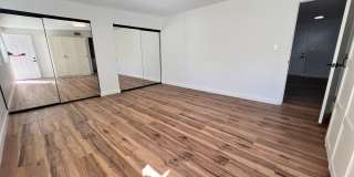 San Carlos Newly Remodeled 4 Bedroom Single Family Home Gallery 14