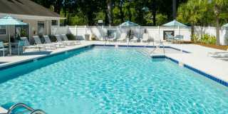 The Lily The Lily Gallery 2