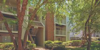 Halstead Burke Gallery 12