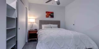 Radius Gallery 42