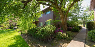 Royal Oaks Gallery 3