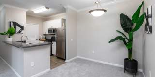 Elevate 155 Gallery 7