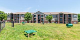 Cornerstone Cornerstone Gallery 10