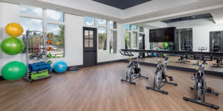 The Local Sugar Hill Gallery 30