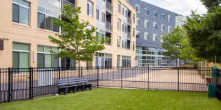 The Fitzgerald Gallery 13