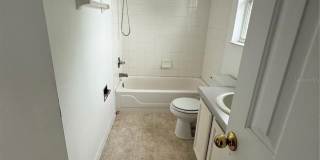2918 BLOOMING ALAMANDA Loop Gallery 20