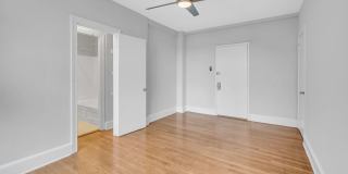 The Shelby Gallery 5