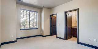 1696 Avenida Del Sol, Castle Rock, CO Gallery 31