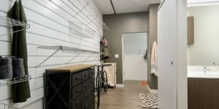 AVA North Point Gallery 13