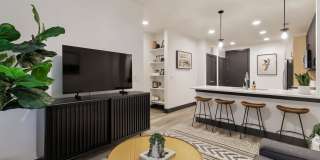 The Sommery Gallery 12