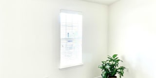 3525 Londonville Lane Gallery 20