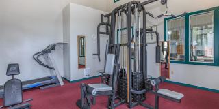 Emerald Court Gallery 14