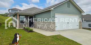 New Construction Home for Rent! Gallery 1