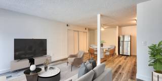 The Harlow Gallery 3