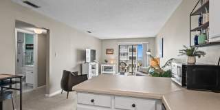 Close to the beach Gallery 42