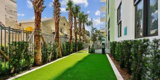 The Tropic Gallery 53