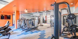 5 Points Northshore Gallery 29