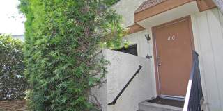 13080 Dronfield Ave #40 Gallery 2