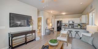 Authentix Suncoast Gallery 3