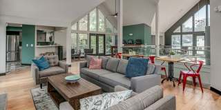 Whispering Lake Gallery 11