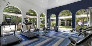 The Boulevard At Town Lake Gallery 37