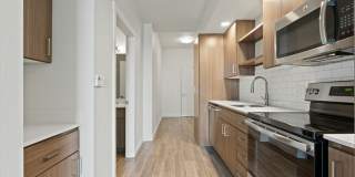 The Fifty at Division Gallery 2