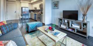 Eviva Midtown Gallery 20