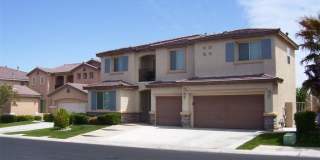 3316 Lacebark Pine Street 3316 Lacebark Pine Street Gallery 1