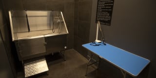 Avenue Madison Gallery 33