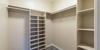 Lion Tempe Gallery 11