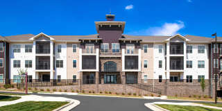 Silver Collection at The Park Gallery 4