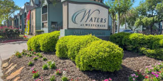 Waters at Westchase Gallery 1