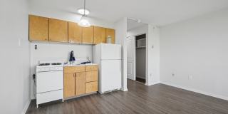 York North Gallery 9