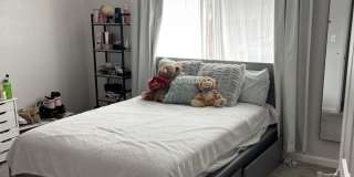8519 Macduff Court Gallery 12