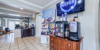 Ashford Westchase Gallery 1