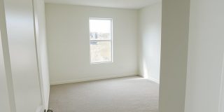 14229 Whistling Teal Drive Gallery 27