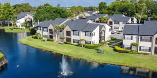 Cypress Run Gallery 20