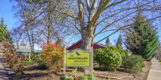 Meadowlark Apartments Gallery 6