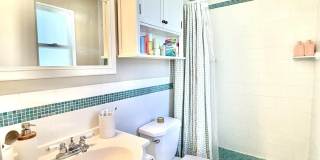 25 SEATROUT Street Gallery 26