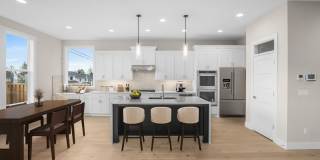 Beautiful 4 Bedroom + Office Home with Open Layout, Gourmet Kitchen & Large Entertainment Room Gallery 3