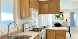 14777 Palm Drive unit: 144 Gallery 8